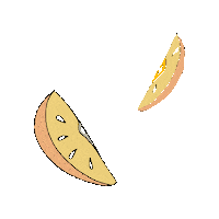 Orange Sticker by Voelkel