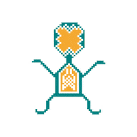 Azerbaijan Carpet Sticker by Baku GIFs