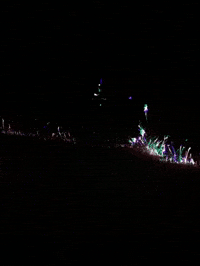 GIF by Joanie Lemercier