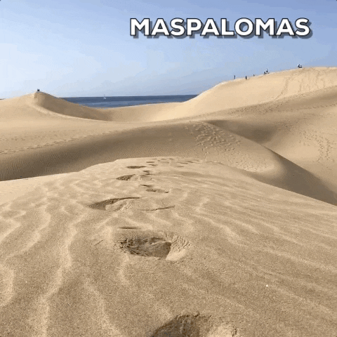 Travel Beach GIF by Visit Maspalomas