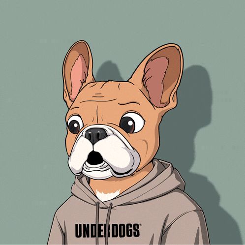 underdogscity giphyupload reaction dog wow GIF
