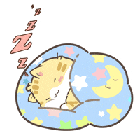 Cat Night GIF