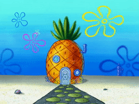 season 6 boating buddies GIF by SpongeBob SquarePants