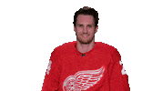 Red Wings Sport Sticker by Detroit Red Wings