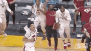 College Basketball Sport GIF by NCAA March Madness