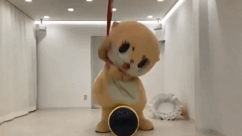 Kashima giphyupload chiitan meat beat GIF