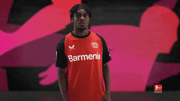 Bayer Leverkusen GIF by Bundesliga