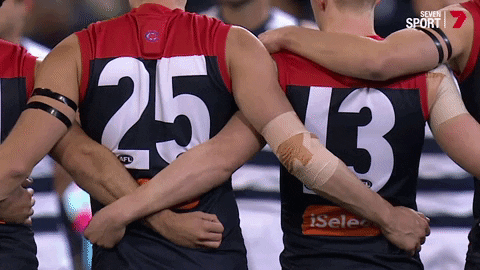 united brothers GIF by Melbournefc