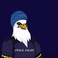 PeaceEagleNFT party ok okay lfg GIF