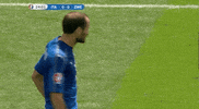 euro 2016 GIF by Sporza