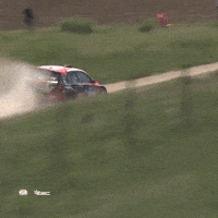 Fast Car Erc GIF by FIA European Rally Championship