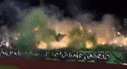 Green Army Csc GIF