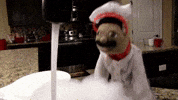 Chef Jamming GIF