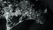 3D Render GIF by time