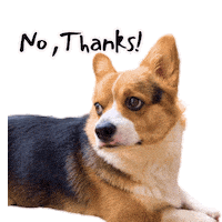 Corgi No Sticker