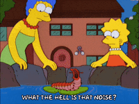 homer simpson episode 21 GIF