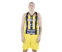 Basketball Cubuklu Sticker by Fenerbahçe Öznur Kablo