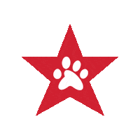 Servicedogs Sticker by Freedom Service Dogs of America