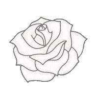 Flower Rose Sticker by Sivan Ayla