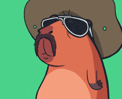 Cappys wow omg nft fat GIF