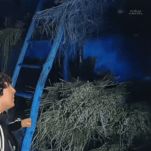 Surprised Country GIF by Rodriw Castel