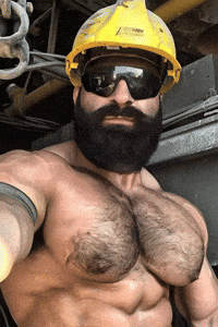 Gay Muscle GIF by Database數據