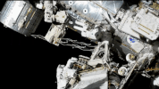 space astronaut GIF by NASA