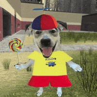Happy Dog GIF