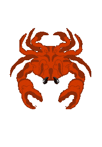 Pacifico Petronio Sticker by Alejandro Eder