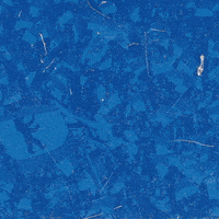 Bundesliga Goalkeeper GIF by Hertha BSC