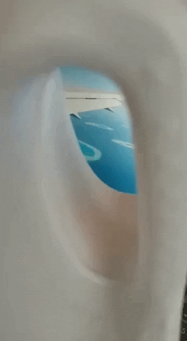 GIF by studentpop