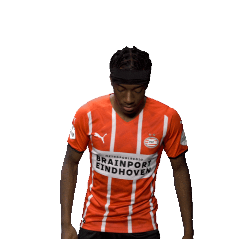 Football Celebrate Sticker by PSV