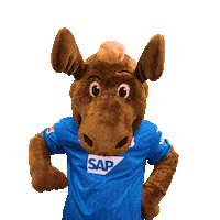 Sport Bundesliga Sticker by TSG Hoffenheim