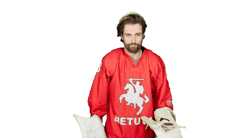 Hockey Goalie Sticker by ledoritulys.lt