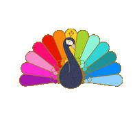 Rainbow Colours Sticker