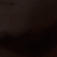 Fight Reaction GIF by Red Bull