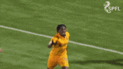 Celtic Fc Hearts GIF by SPFL