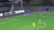 Celtic Fc Hearts GIF by SPFL