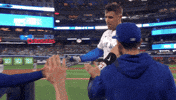 Blue Jays Baseball GIF by Toronto Blue Jays