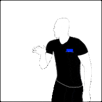 swissdodgeball bounce referee rules dodgeball Sticker