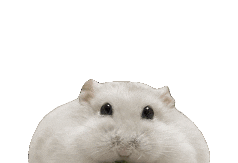 ハムスタ Sticker