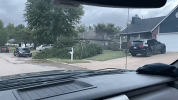 Trees Downed in Tulsa Suburb After Stormy Night