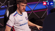 Wildcard GIF by BLAST