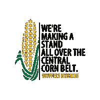 Corn Sticker by Wyffels Hybrids