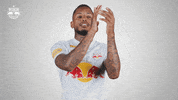 Football Applause GIF by FC Red Bull Salzburg
