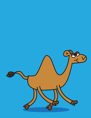 Cartoon gif. A Cartoon of a camel walks with a content smile on its face. Text, Hump day!”
