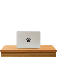 French Dog Sticker by Bold Online Marketing