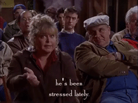 season 2 netflix GIF by Gilmore Girls 