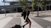 on my way tiÃÂ«sto GIF by Tiësto