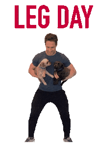 Suit Up Lets Go Sticker by Drive Clubs